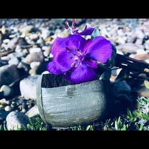 Meet your Posher, Rebecca